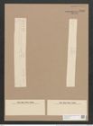 Synedra ulna var. vitrea (Bory Kuetz.) V. H. (de-Toni-Nr.: Genus 66, Species 2584) Zeichnungen Sammlung Grunow Nr. 5242 (NHMW-BOT-W0373615)